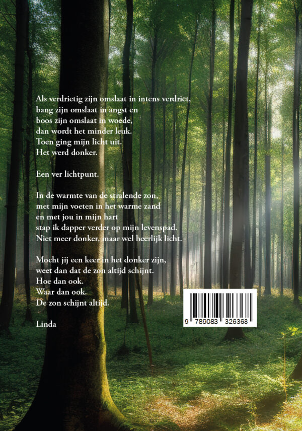Mijn licht aan de horizon | Linda Hubers-Verber - Afbeelding 2
